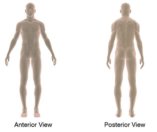 Location Terms Anterior and posterior In human anatomical usage, anterior refers to the front of the individual. Similarly, posterior refers to the back of the subject.