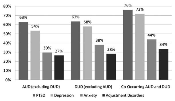 alcohol 5% drugs 3% both 75% had PTSD and/or depression 16% had