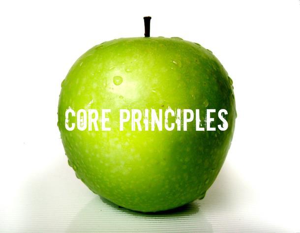 Core Principles of Family/Youth Professional Partnerships