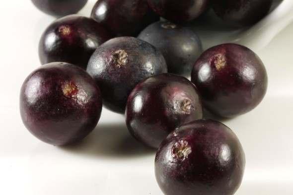 AçaíBerries 2011 pilot study, açaí reduced levels of selected markers of metabolic disease in ten overweight humans.