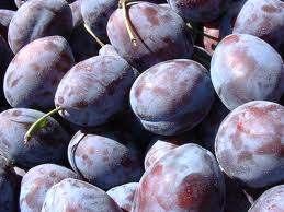 Prunes In rats, prune consumption produced changes in the bowel that suggest a protective effect against colon cancer.