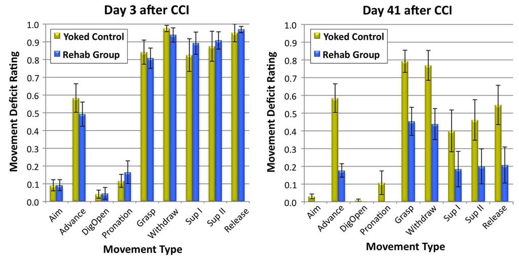 behavioral improvements in reaching performance similar to that found in Experiment 1.