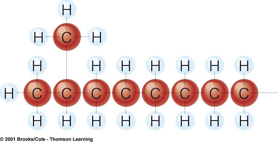 Bonding Arrangements of Carbon Carbon atoms can form
