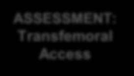 ASSESSMENT: Transfemoral Access Transfemoral (TF) Transapical (TA) /