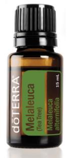 Melaleuca Melaleuca aka Tea Tree oil Anti-Bacterial, Anti- Fungal, Antiseptic, Anti-Viral, a very powerful first aid for the skin Renowned for its cleansing and rejuvenating effect on the skin Used