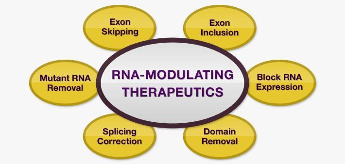 Our Science - RNA Modulation Technology platform enables us to design sequences of nucleotides that bind to specified regions of pre-mrna