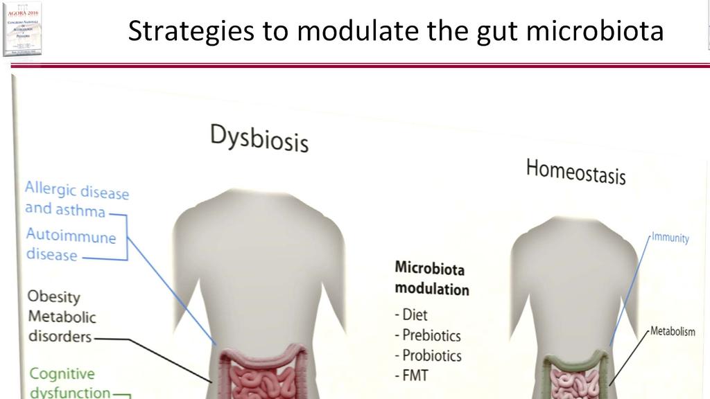 Strategies to modulate the gut microbiota West CE; in FLAME