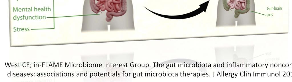 The gut microbiota and inflammatory noncommunicable