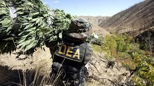 FEDERAL CONSIDERATIONS Marijuana remains illegal under federal law.