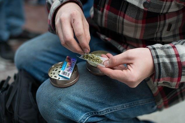 Impact on Youth 1. Youth ages 12-17 accounted for 74% of all state marijuana seizures in 20