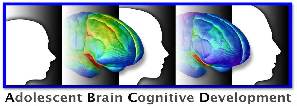 Adolescent Brain and Cognitive Development (ABCD) Study NIDA, NIAAA, NCI, NICHD, NIMH, NIMHD, OBSSR, NINDS Ten year longitudinal study 10,000 children from
