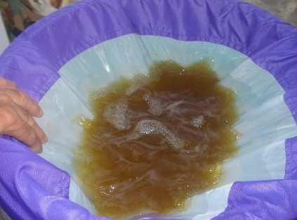 Water Hash Ice water