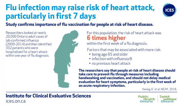 Image courtesy of ICES/PHO The researchers add that patients should not delay medical evaluation for heart symptoms particularly within the first week of an acute respiratory infection.