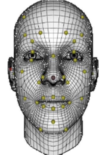 EXTRACTED FEATURES Faceshift TM returns 4 output types: Intensity level of 51 faceshift Action Units (fs-aus): BROWS (up, down) CHEEK (squint, puff) NOSE (sneer) CHIN (raise) EYES (blink, squint, up,