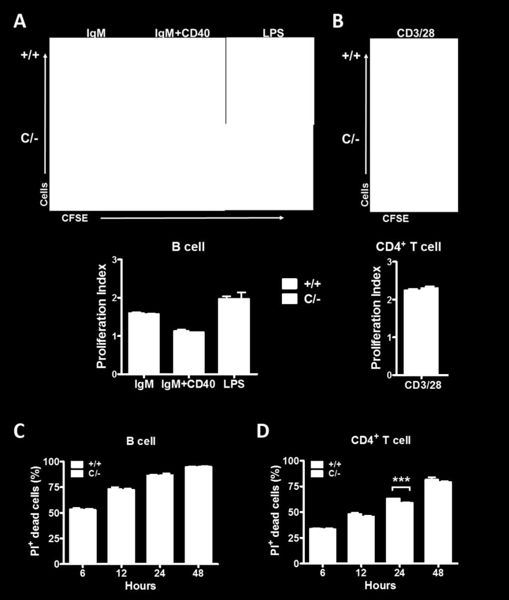 (B) CFSE-labeled CD4 + T cells stimulated with anti-cd3/cd28 (4 μg/ml) antibodies.
