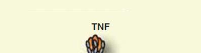 TNFα Signaling