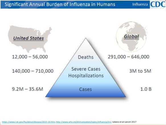 gov/flu/ The Changeability of Influenza Antigenic Drift Seasonal Influenza