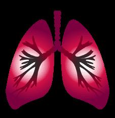 Breathlessness Bronchitis: coughing, sputum production