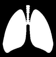 Initiative for Chronic Obstructive Lung Disease