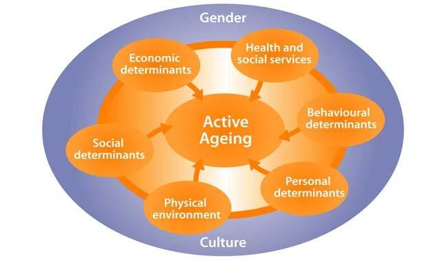 Determinants of Active Ageing Source: World Health