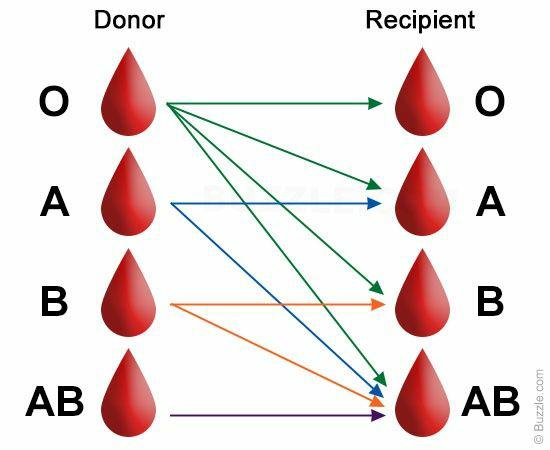 Compatibility :- Client's Identification ( Name on Band or Bracelet ) Recipient ABO type & Rh type Identify An antibody screen :- Presence of Antibody Universal Blood Donor :- O -ve Universal Blood