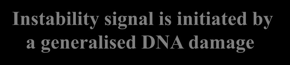 DNA damage From: Barber et al., 2002, PNAS 99, 6877-82 Dubrova et al.