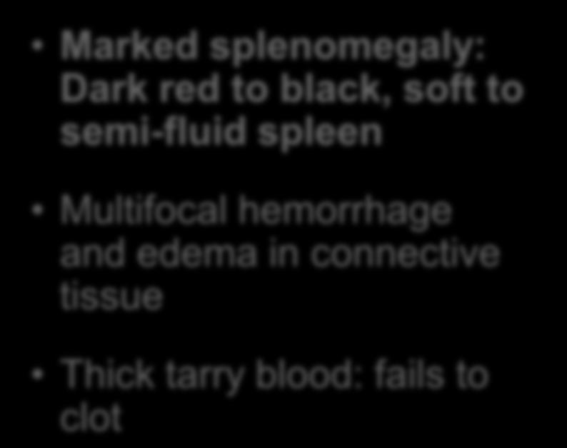 hemorrhage and edema in
