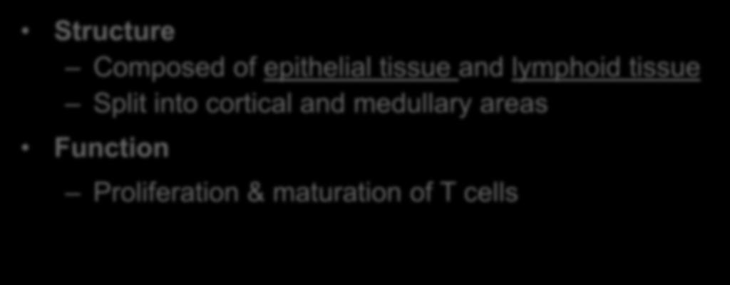 Structure Composed of epithelial tissue and