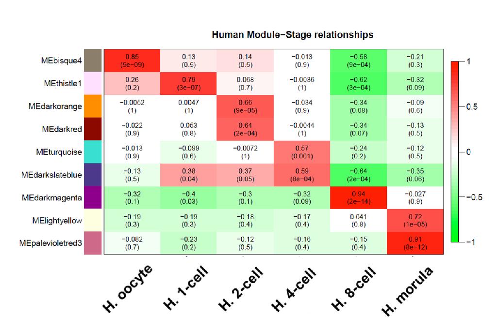 Supplementary Fig. 6. Heatmap reporting correlations (and corresponding p-values) between modules and stage indicators.