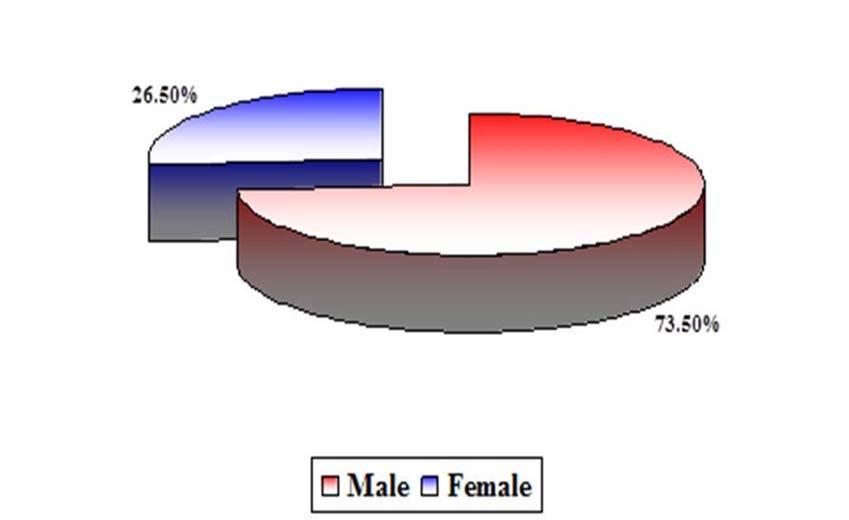 Graph 1: Distribution of patients according to sex Graph 2: Distribution of patients according to the diagnosis of LVH based on LV