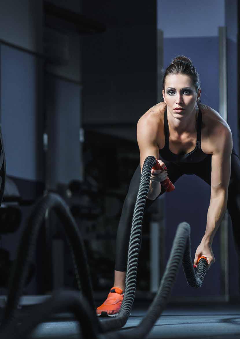 Strength Endurance Agility Flexibility Protein Excercise