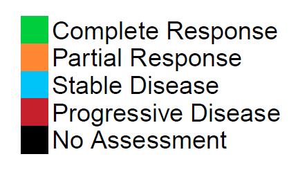 Overall 2013 Best Accomplishments Response: NHL 9/15 Evaluable Patients Have CR+PR Evaluable Patients (n=15) DLBCL