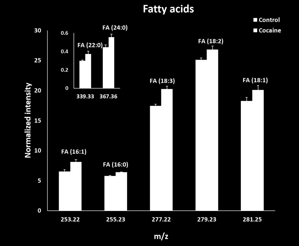 Figure S3. Change in abundance of fatty acids in central brain analysed by ToF-SIMS/40 kev Ar 4000 + GCIB in negative ion mode.