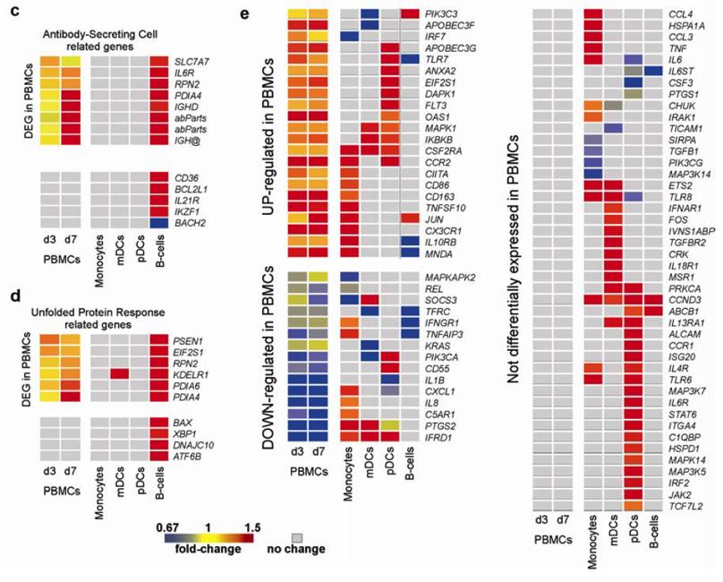 Gene expression in sorted cells following vaccination IFN response genes