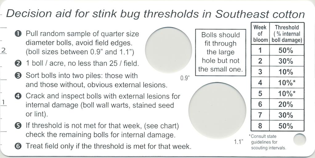 Use our dynamic boll-injury threshold for stink bugs, but you have to know what week of bloom you are in to use it.