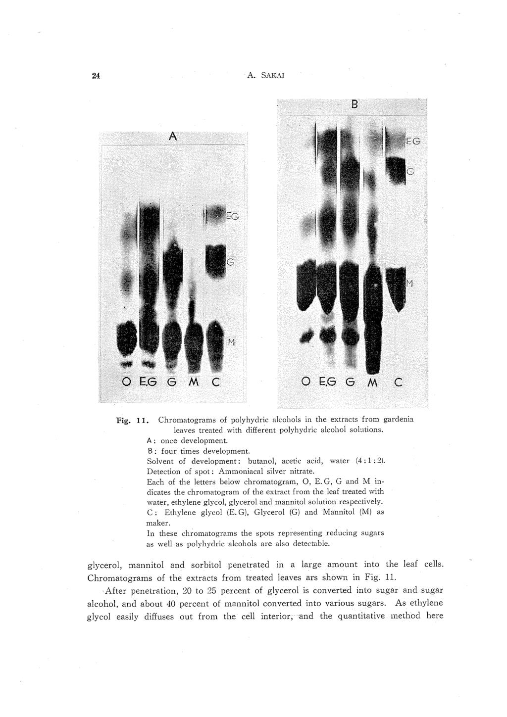 24 A. SAKAI A o t:.6 6 M C Fig. 11. Chromatograms of poly hydric alcohols in the extracts from gardenia leaves treated with different polyhydric alcohol so lations. A: once development.