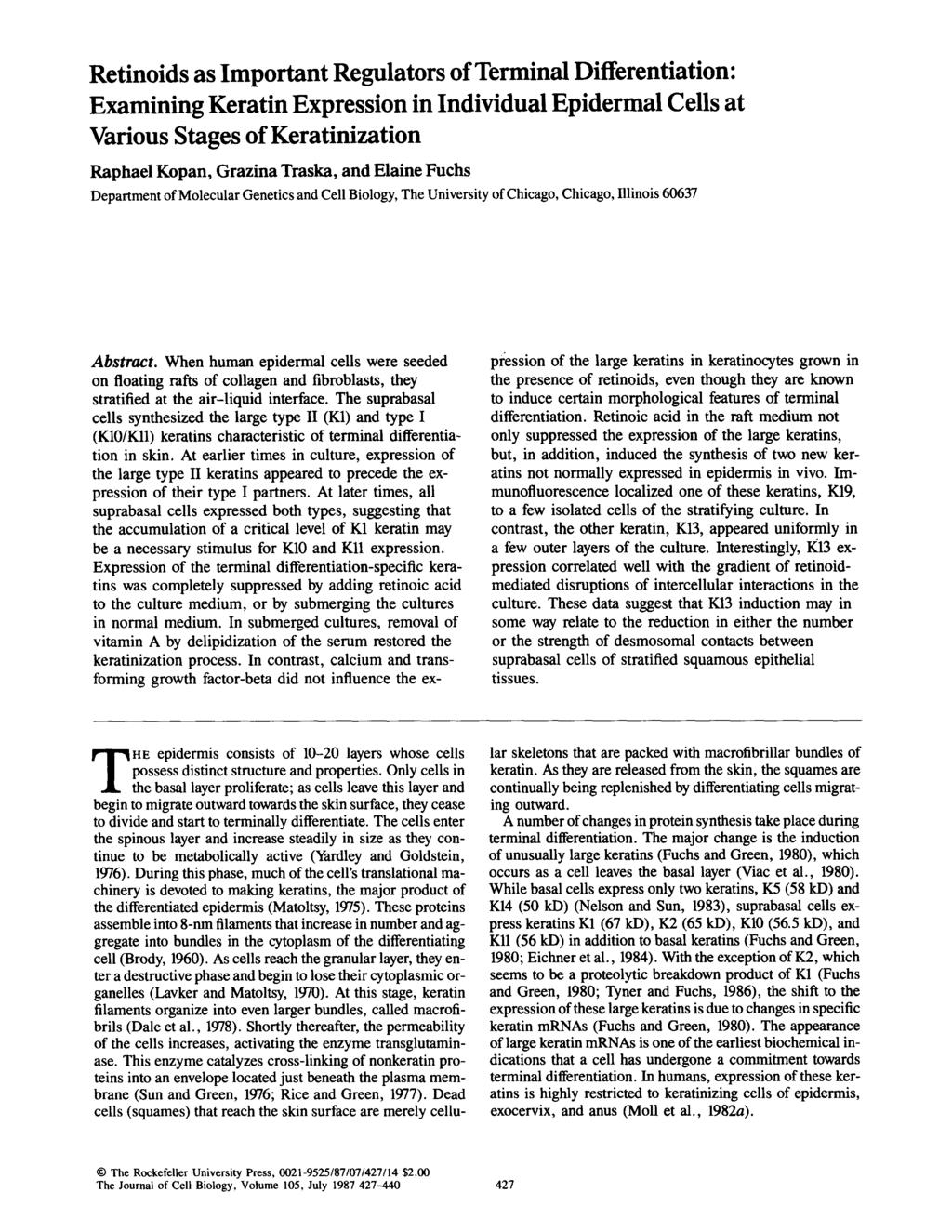 Retinoids as Important Regulators of Terminal Differentiation: Examining Keratin Expression in Individual Epidermal Cells at Various Stages of Keratinization Raphael Kopan, Grazina Traska, and Elaine
