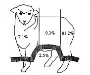 Figure 2.7 Areas of the sheep that are commonly struck by flies. he large black line cuts off the section of the sheep that has 2.5% prevalence for fly-strike from the rest of the sheep.