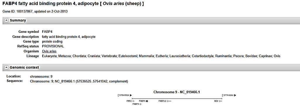 Figure 2.11 Overview of the Ovis aries FABP4 gene (GenBank www.ncbi.nlm.nih.gov/gene/1.) A study by Smith et al.