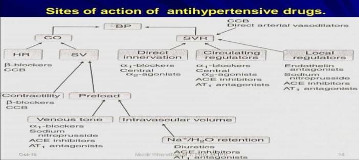 converted to angiotensin II, angiotensin II has many effects, o one of which is vasoconstriction when it binds to angiotensin II receptor on vascular smooth muscle, this will lead to an increase in