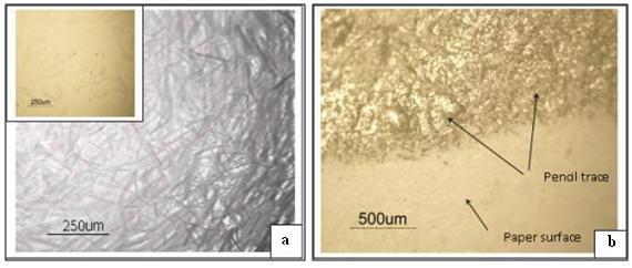 Reem Saadi Khaleel, Salah Kaduri Haza a 2 Figure 3. (a) Cellulose paper surface (the insert depicts the deposited ZnO:SnO 2 mixture), (b) Optical image of pencil trace. III.