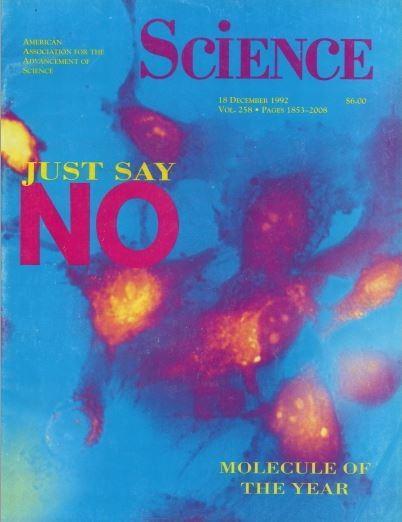 1992 Nitric Oxide is name Molecule of the Year by Science Magazine