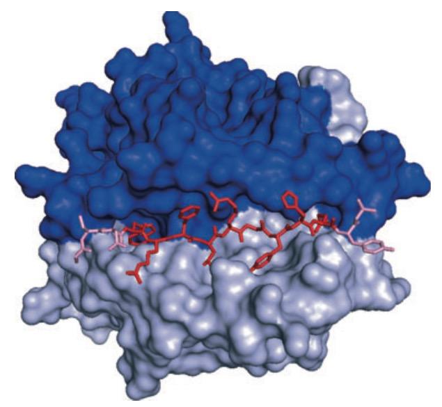 Peptides binding to MHCII molecules Nielsen et al.