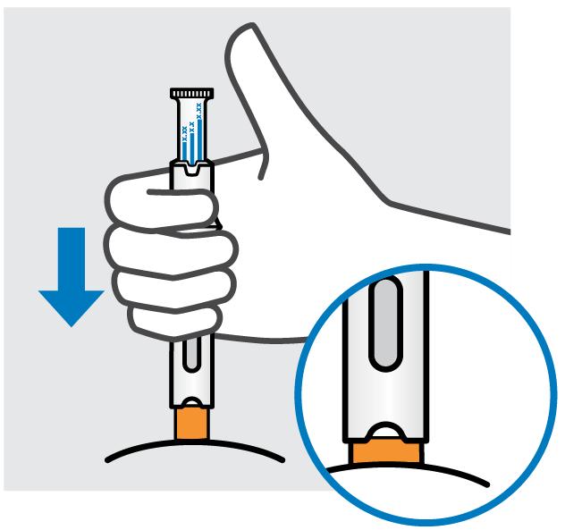 2. Inject Simponi using the pre-filled pen Dose selection notch Set prescribed dose Turn plunger until the dose line for your prescribed dose lines up with the dose