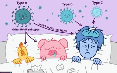 How Do Influenza Pandemic Happen?