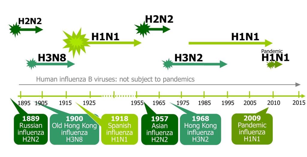 Recorded human pandemic influenza since 1889 (early sub-types inferred) Source: European Centre for Disease Prevention and Control (ECDC) 2009 Reproduced