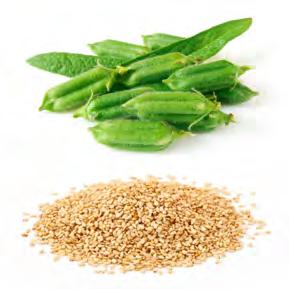 Extra Virgin Sesame Oil From Ethiopian Humera Seeds Conventional / Organic Benefits Contains two unique natural chemicals called sesamol and sesamin.