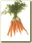 Carrot 1 big carrot - 78 g vit.