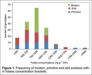 Folate Content Variability in Potatoes Figure one shows genotypes vs.