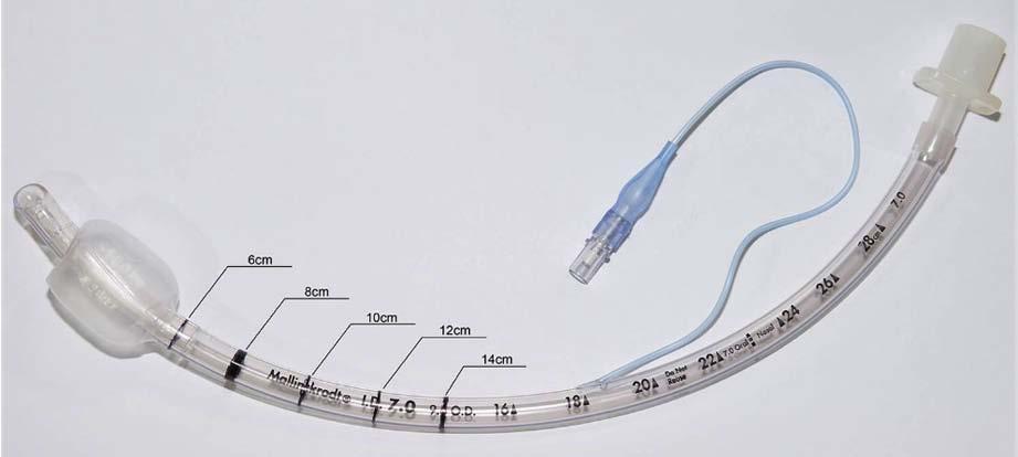 The Touch & Read Method In this study, we measured the airway length from the central incisor to the carina.
